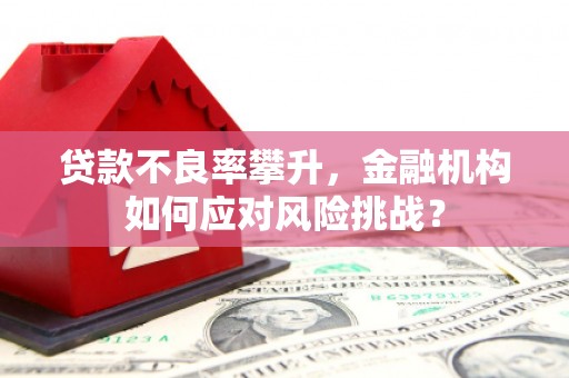 海安贷款不良率攀升，金融机构如何应对风险挑战？