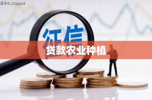 海安贷款农业种植
