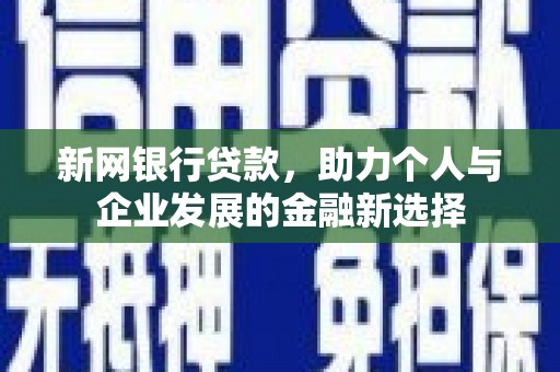 海安新网银行贷款，助力个人与企业发展的金融新选择