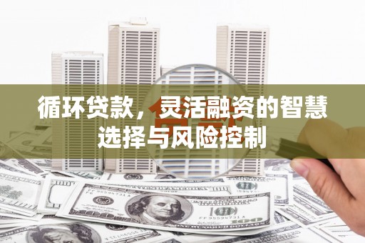 海安循环贷款，灵活融资的智慧选择与风险控制