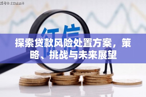 海安探索贷款风险处置方案，策略、挑战与未来展望