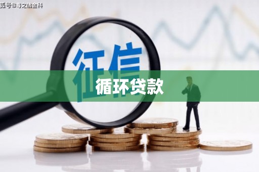 海安循环贷款