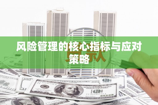 海安风险管理的核心指标与应对策略