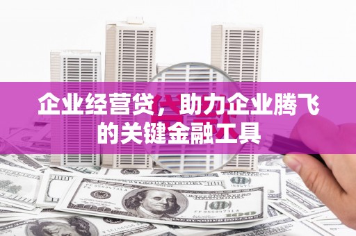 海安企业经营贷，助力企业腾飞的关键金融工具