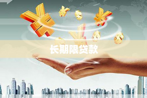 海安长期限贷款