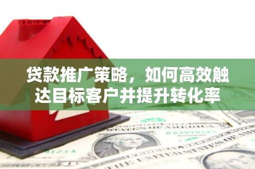 海安贷款推广策略，如何高效触达目标客户并提升转化率