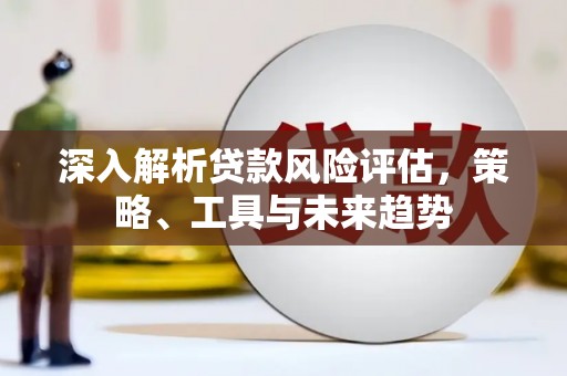海安深入解析贷款风险评估，策略、工具与未来趋势