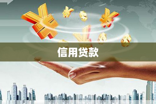 海安信用贷款
