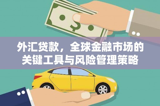 海安外汇贷款，全球金融市场的关键工具与风险管理策略