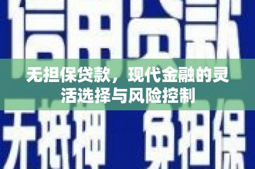 海安无担保贷款，现代金融的灵活选择与风险控制