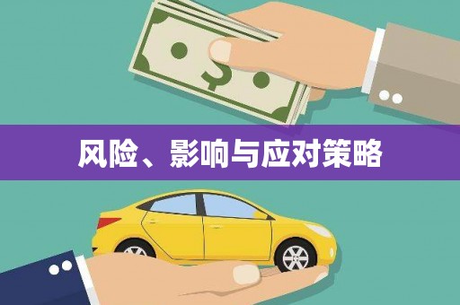 海安风险、影响与应对策略