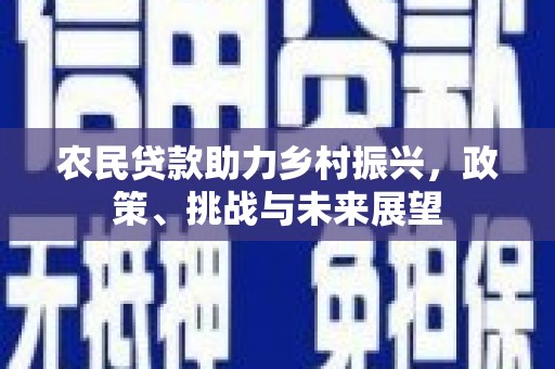 海安农民贷款助力乡村振兴，政策、挑战与未来展望