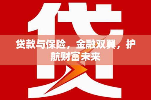 海安贷款与保险，金融双翼，护航财富未来