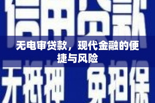 海安无电审贷款，现代金融的便捷与风险