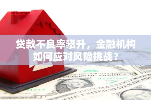 海安贷款不良率攀升，金融机构如何应对风险挑战？