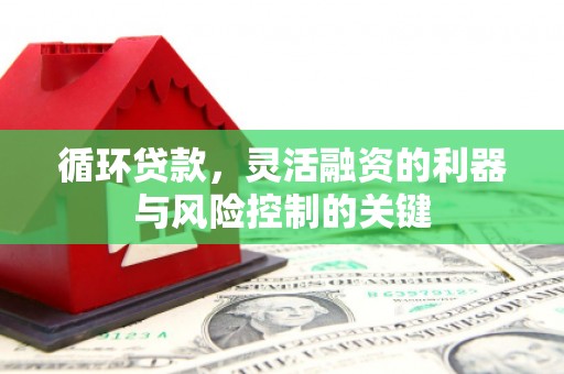 海安循环贷款，灵活融资的利器与风险控制的关键