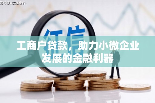 海安工商户贷款，助力小微企业发展的金融利器