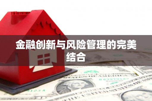 海安金融创新与风险管理的完美结合
