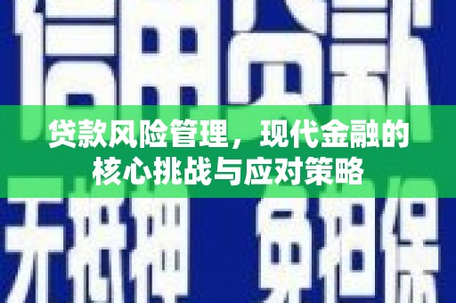 海安贷款风险管理，现代金融的核心挑战与应对策略