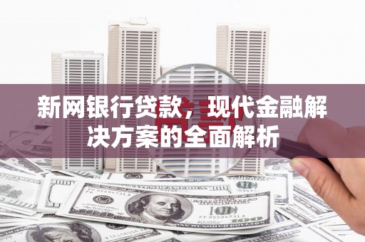 海安新网银行贷款，现代金融解决方案的全面解析