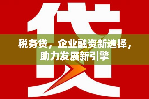 海安税务贷，企业融资新选择，助力发展新引擎