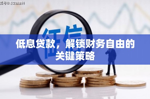 海安低息贷款，解锁财务自由的关键策略