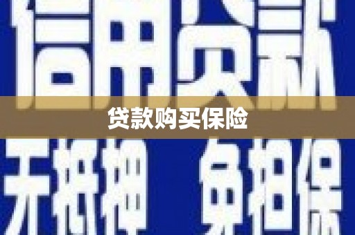 海安贷款购买保险