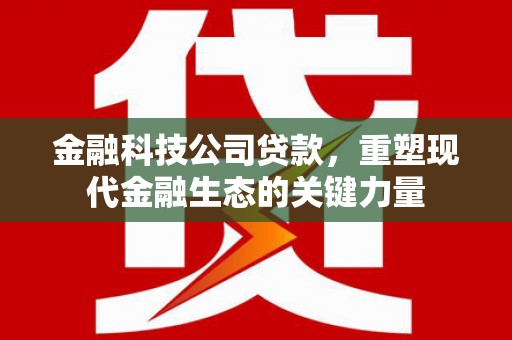 海安金融科技公司贷款，重塑现代金融生态的关键力量