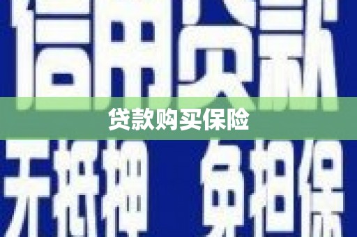 海安贷款购买保险
