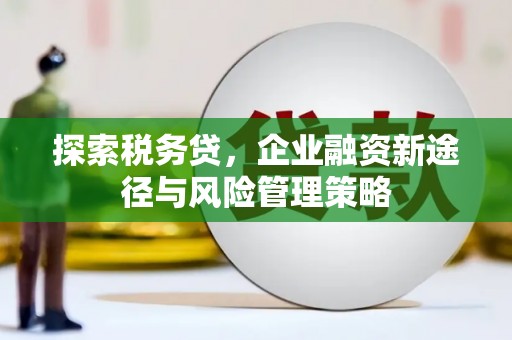 海安探索税务贷，企业融资新途径与风险管理策略