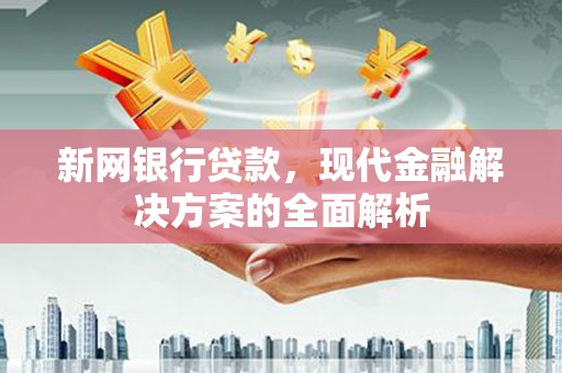 海安新网银行贷款，现代金融解决方案的全面解析
