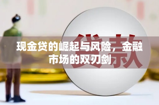 海安现金贷的崛起与风险，金融市场的双刃剑