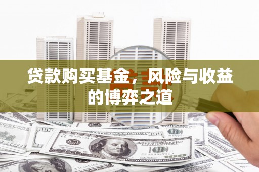 海安贷款购买基金，风险与收益的博弈之道
