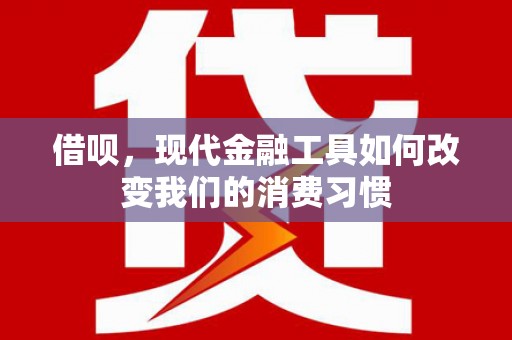 海安借呗，现代金融工具如何改变我们的消费习惯