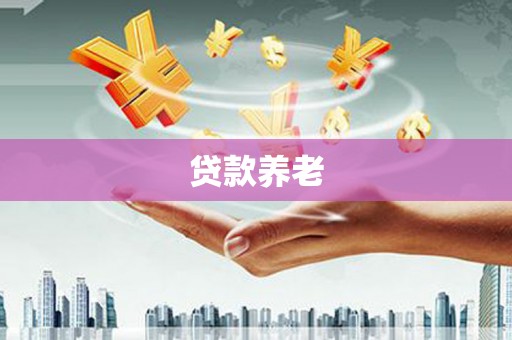 海安贷款养老