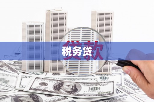 海安税务贷