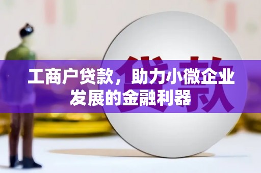 海安工商户贷款，助力小微企业发展的金融利器