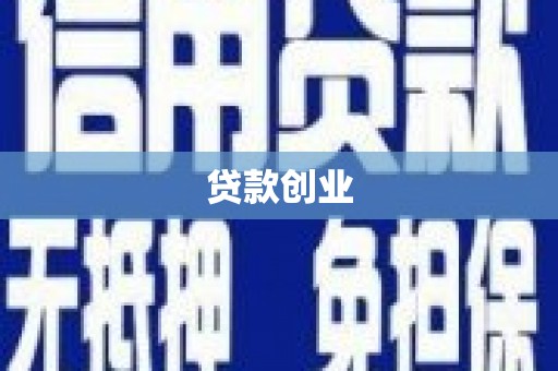 海安贷款创业