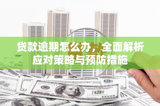 海安贷款逾期怎么办，全面解析应对策略与预防措施