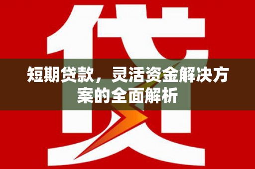 海安短期贷款，灵活资金解决方案的全面解析