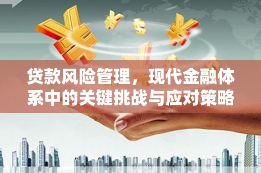 海安贷款风险管理，现代金融体系中的关键挑战与应对策略