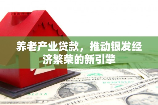 海安养老产业贷款，推动银发经济繁荣的新引擎