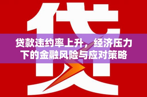海安贷款违约率上升，经济压力下的金融风险与应对策略