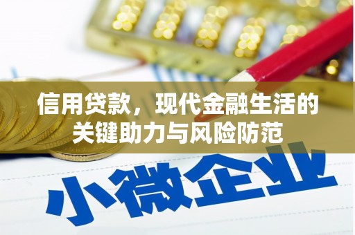海安信用贷款，现代金融生活的关键助力与风险防范