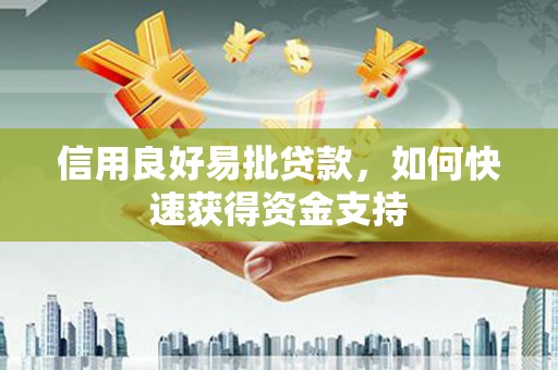 海安信用良好易批贷款，如何快速获得资金支持
