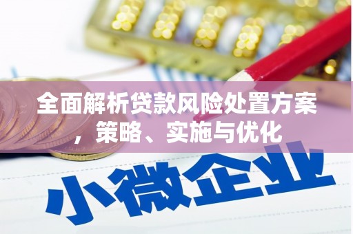 海安全面解析贷款风险处置方案，策略、实施与优化