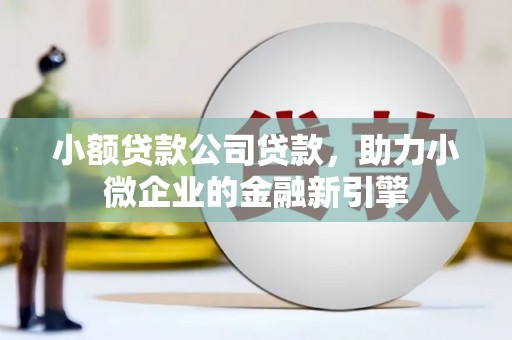 海安小额贷款公司贷款，助力小微企业的金融新引擎