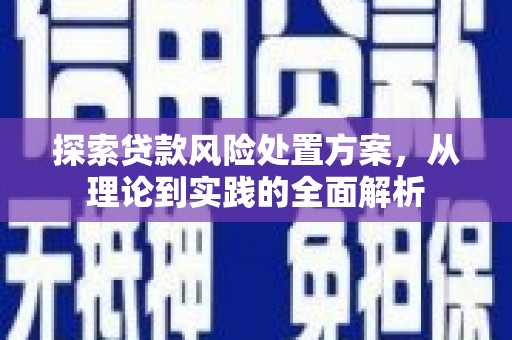 海安探索贷款风险处置方案，从理论到实践的全面解析