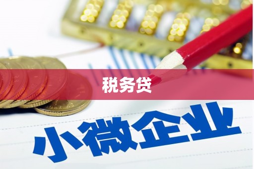 海安税务贷