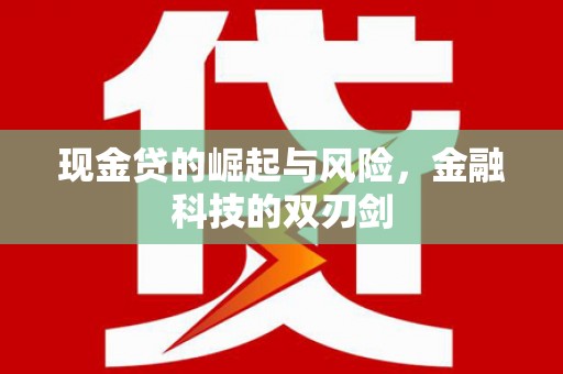 海安现金贷的崛起与风险，金融科技的双刃剑